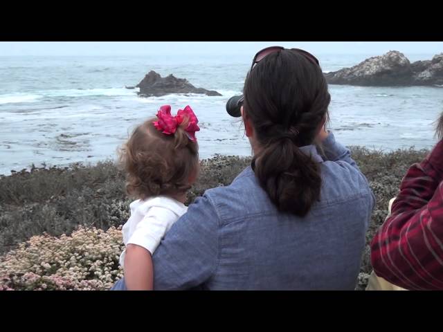 Discover the Coast @ Piedras Blancas - Community Celebration