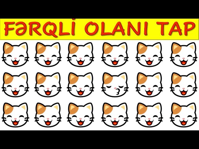 Fərqli Olanı Tap 6