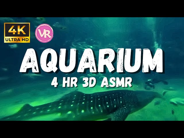 Aquarium of Fish - Submerge Yourself In A Serene Underwater World in This 4k Vr Compatible Aquarium.