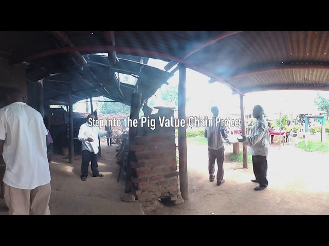 Step into the Uganda Pig Value Chain Project