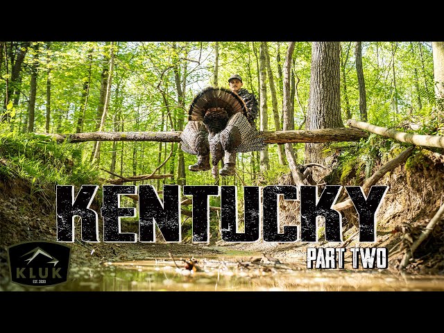 24 Hours of Nonstop Turkey Action | Kentucky Part 2