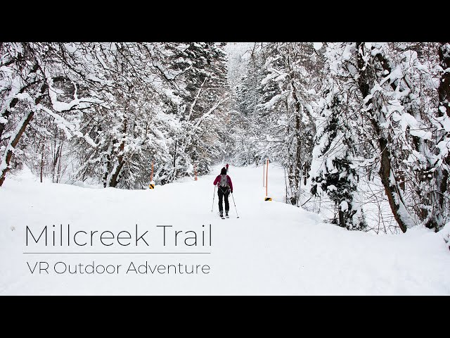 Millcreek Trail, Utah (Winter) | VR Ski Tour with Relaxing Lofi Beat