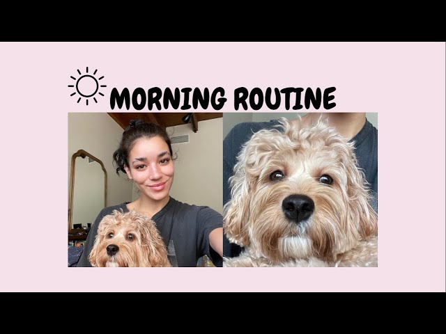 Morning Routine