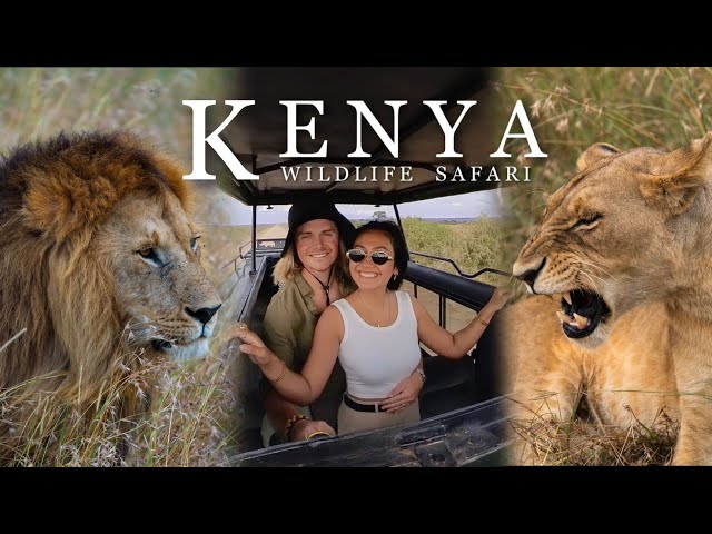 Our LION SAFARI ENCOUNTER! The BEST Wildlife Safari in Africa! (Masai Mara Kenya)