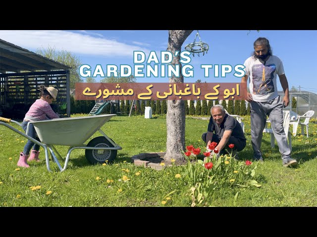 Dad's Gardening Wisdom in Estonia والد سے باغبانی سیکھنا 🌸