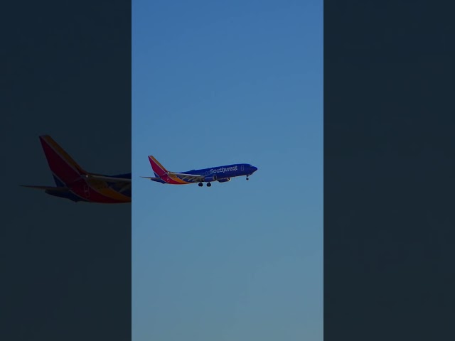 Southwest 737 | DEN | 16L Arrival