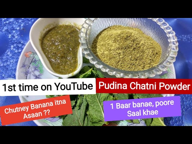 Pudine Ki Chutney In 10 Seconds Pudina Chutney Powder Homemade