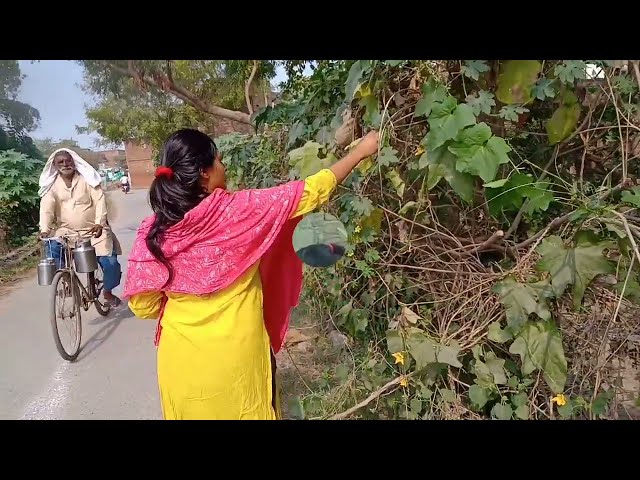 Village Lifestlye in indai | Daily Life of Indain Gril in the Routine |#sweetivlogpryaraj #vlog