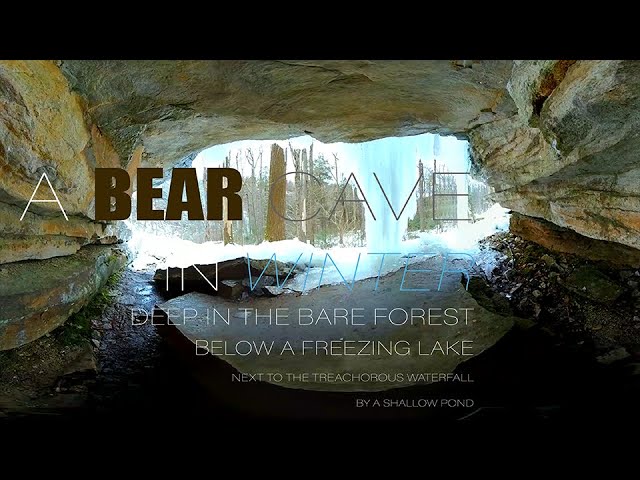 360° Virtual Reality Bear Cave In Winter