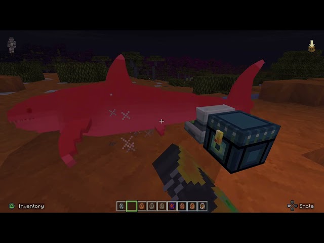 Minecraft Australian adventure