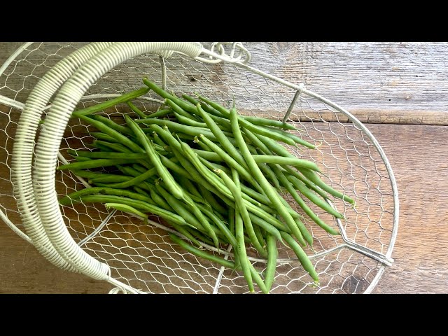 NO FAIL method for amazing FROZEN GREEN BEANS!