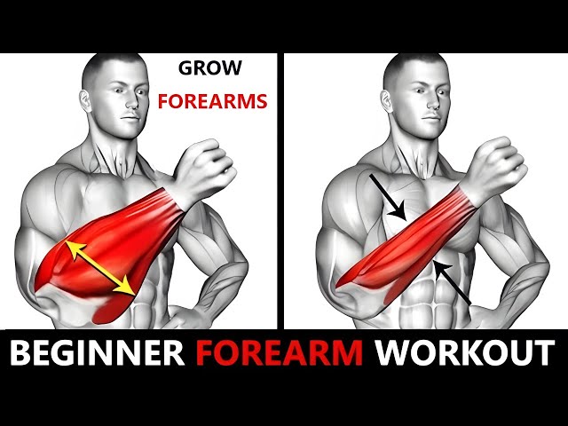 BEGINNER FOREARM WORKOUT  MUSCLE BUILDING WORKOUT