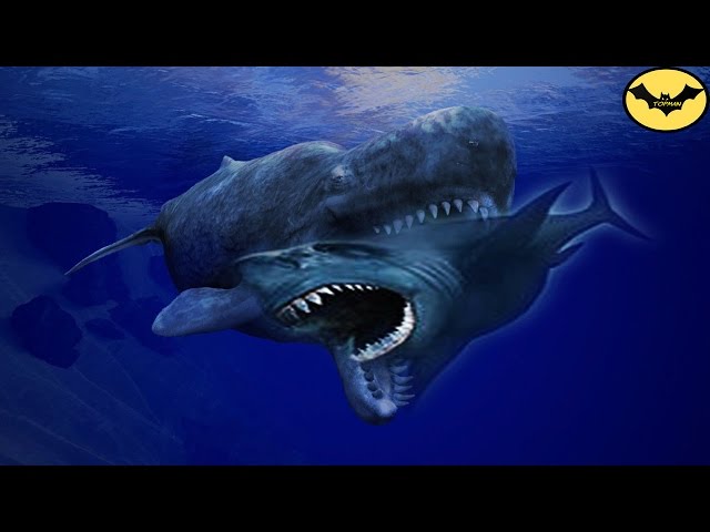 The 5 Most Terrifying Megalodon Enemies.