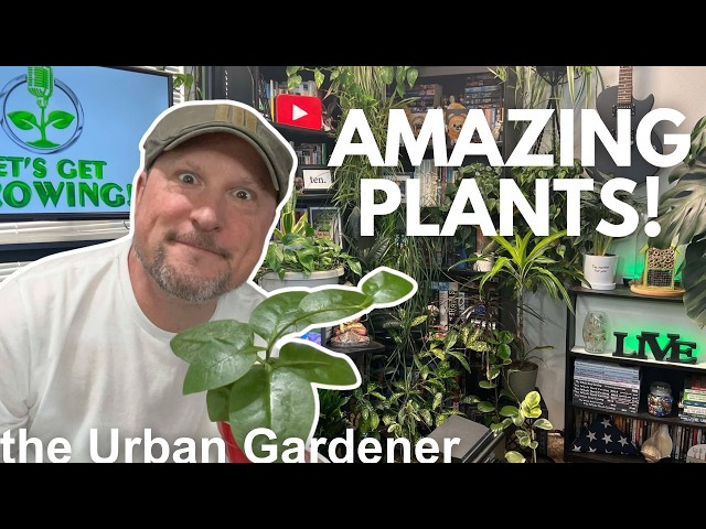 Essential Houseplants! | a Let's Get Growing! Plant Tour