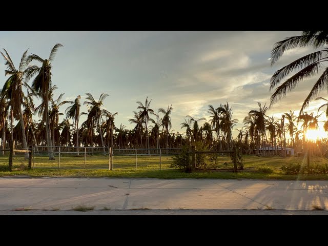 PINE ISLAND, FLORIDA - 4K