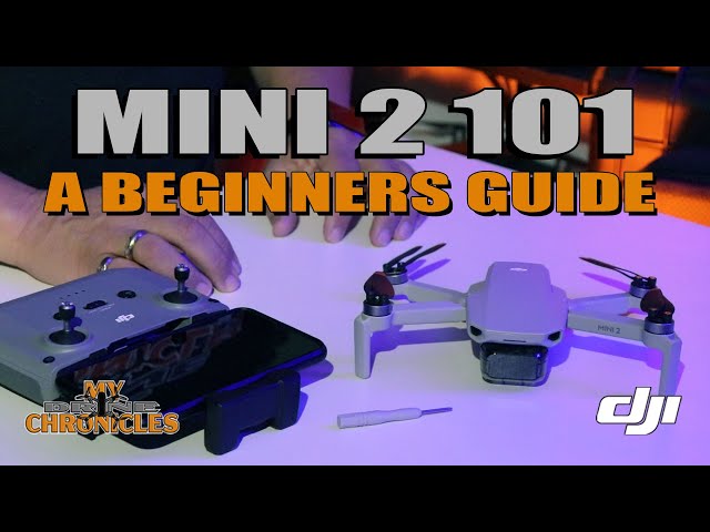 DJI Mini 2 101 A Beginners Guide