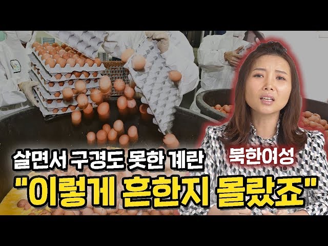 북한에선 귀한데 남한에선 천대받는 것들 TOP5