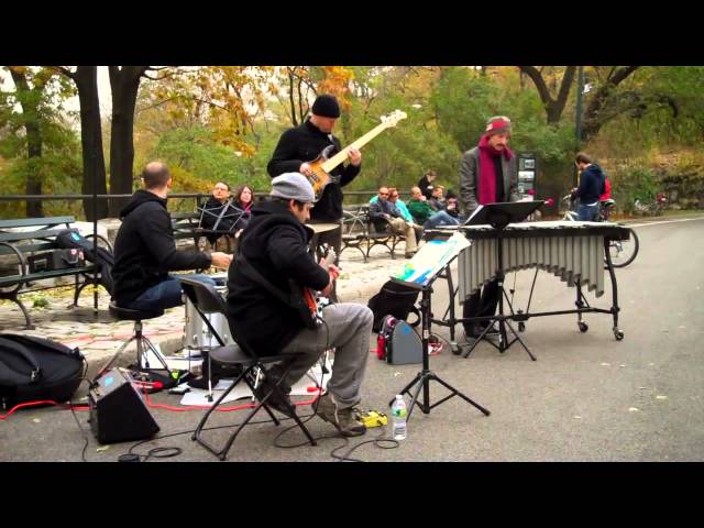 Peace • Chris Dingman Quartet • Jazz & Colors / Central Park • 11/10/12