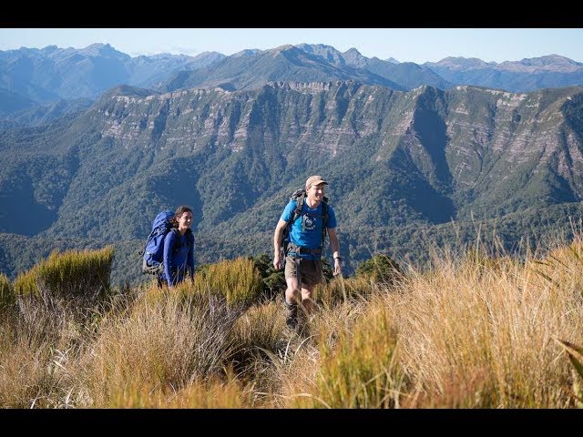 Paparoa Track - Moonlight Tops