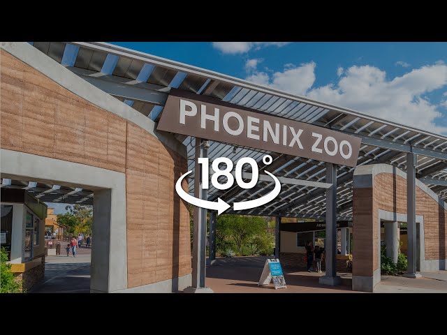 Phoenix Zoo Adventure in 180° VR | VR Pioneers