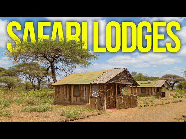 10 Jaw-Dropping Safari Lodges in Africa You Won't Believe Exist!