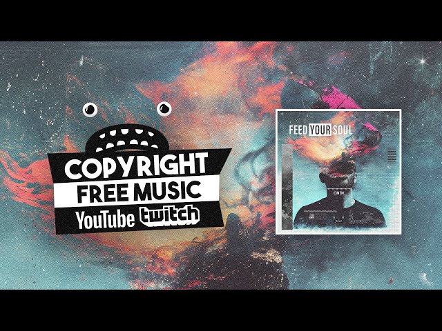 CNDL - Feed Your Soul [Bass Rebels] No Copyright Dubstep Music