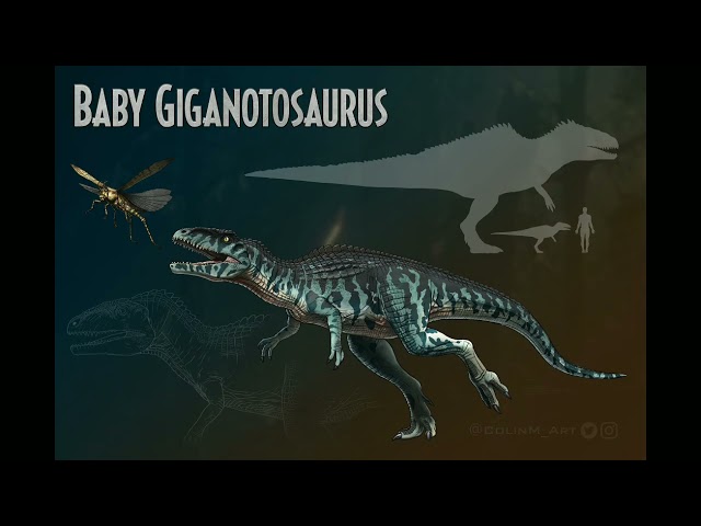 Baby Giganotosaurus  Sound Effects