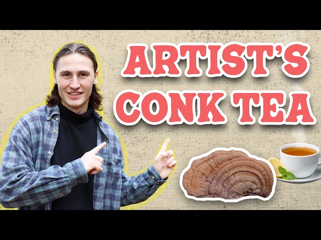 How To Make Artist's Conk Mushroom Tea | Identification, Foraging, Preparation