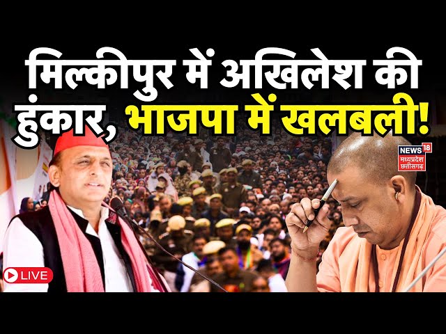 Milkipur by election Live : Akhilesh Yadav की दहाड़, भाजपा में खलबली | Yogi Adityanath | UP news