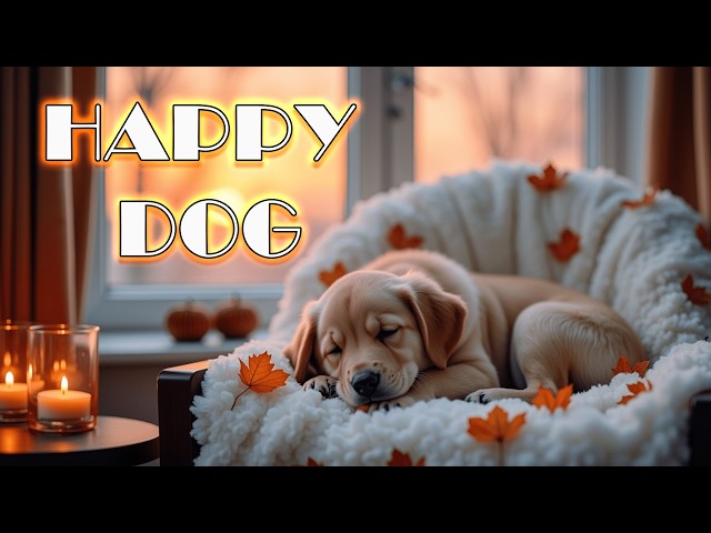 🐶Music for dogs to fall asleep easily - dogs chill out all day🍄HAPPY DOG relaxing