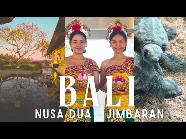 Bali Vlog | We released BABY TURTLES, GRAND HYATT vacation at Nusa Dua, Jimbaran beach & villa tour