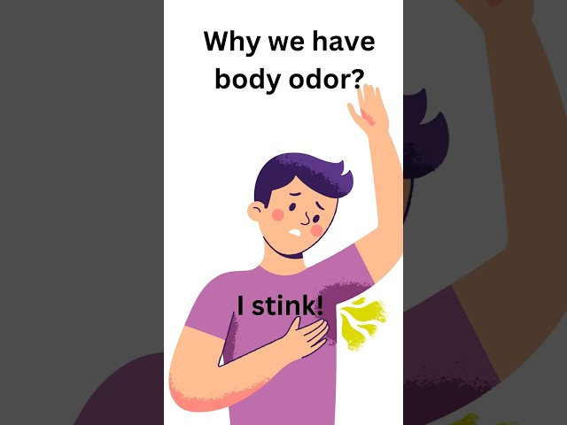 "The Stinky Truth: Why We Sometimes Smell!" #bodyimage, #bodyorder, #personal