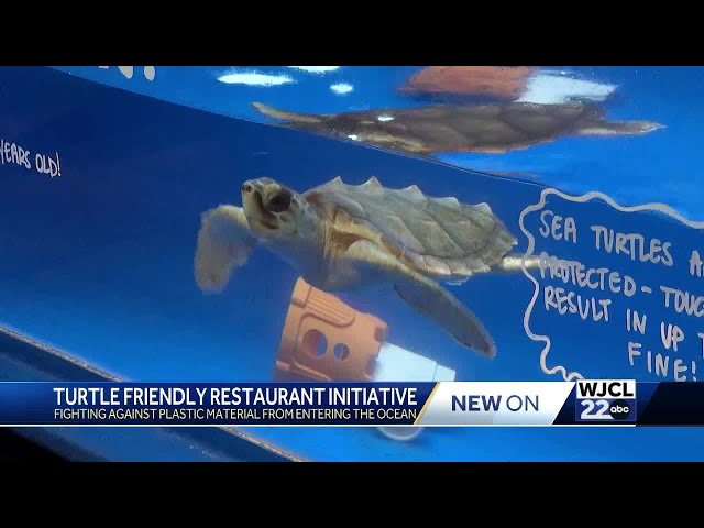 Tybee Beach Clean expands its program to fight stop plastic from entering the ocean