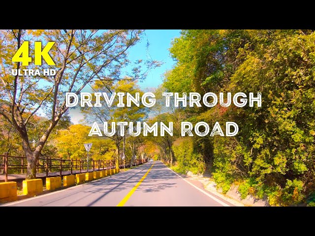 4K Fall Scenic Driving through Autumn Forest with Relaxing Music | Autumn Road Drive