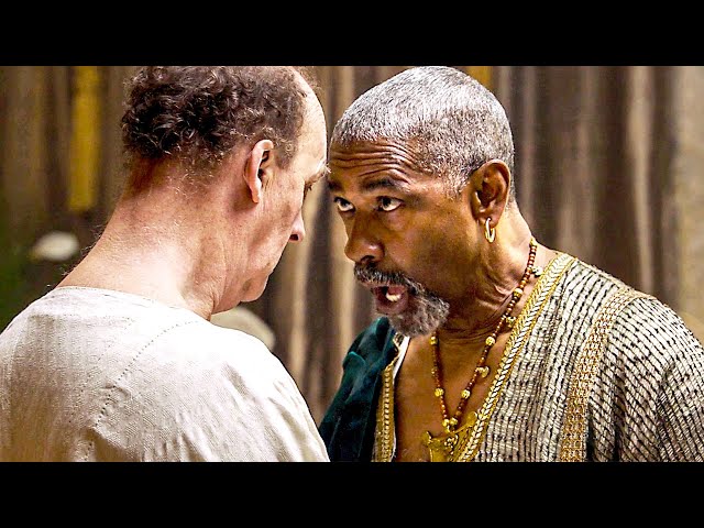 "I OWN your house" | All Denzel PUNCHLINES from Gladiator 2 🌀 4K