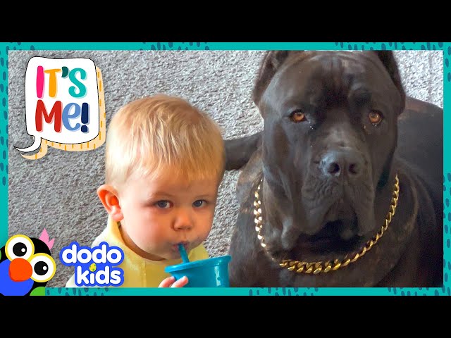 Big Dog Can't Wait To Splash Around With His Little Brother | Dodo Kids | It’s Me!