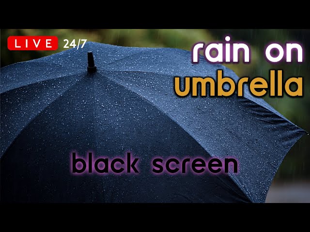 🔴 [LIVE 24/7] Rain on Umbrella | Rain Ambience No Thunder | Rain Sounds for Sleeping [Black Screen]