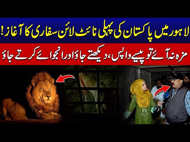 Lahore Safari Zoo Launches Night Safari – A Thrilling Experience - 24 News HD