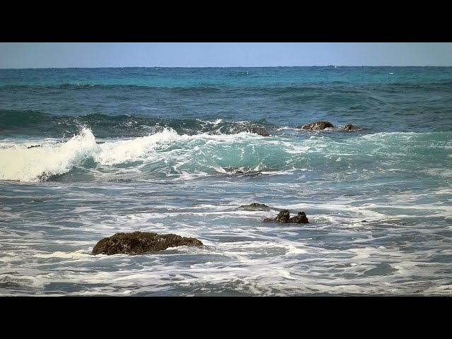 Beautiful Aruba Ocean Waves for Relaxation, Meditation, Sleep