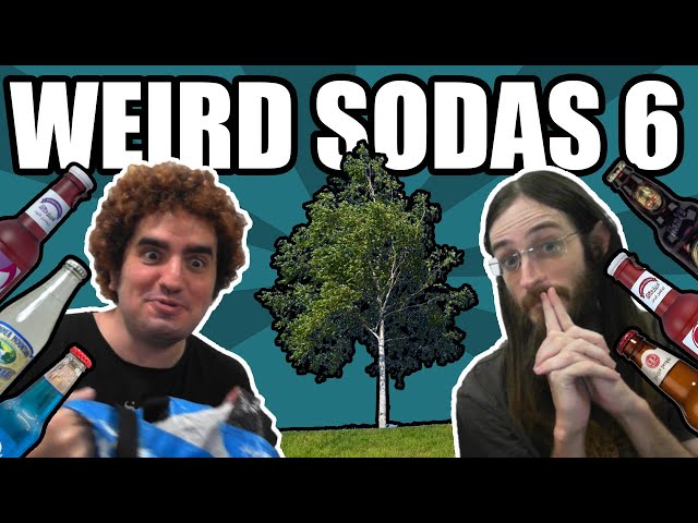 DRINKING A TREE??? | Weird Sodas 6