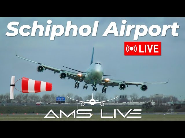 🔴 LIVE: WINDY Arrivals at Amsterdam Schiphol Airport | February 7, 2025