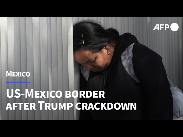 Dismay at US-Mexico border after President Trump's migrant crackdown | AFP