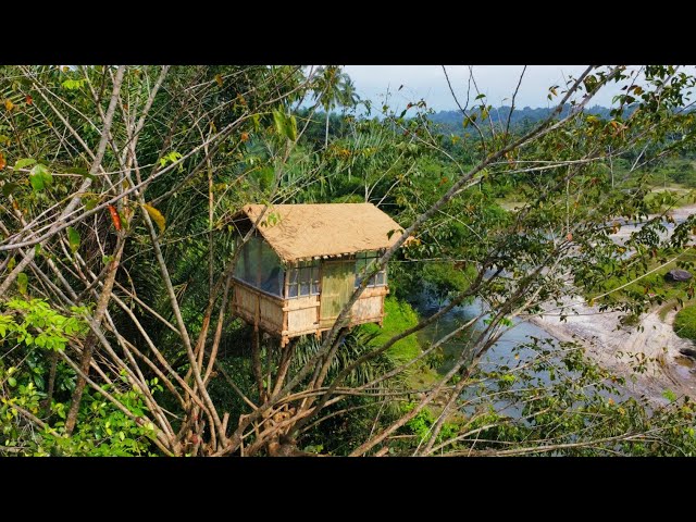 Make a tree house a cozy shelter in the forest, clay roof