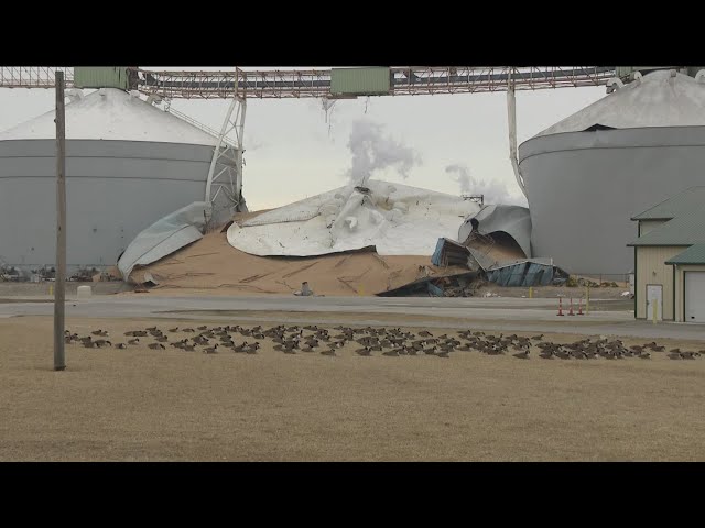 The Andersons grain bin collapses in south Toledo