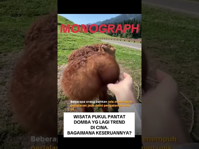 Lucu! Wisata Pukul Pantat Siapa? Di China lagi trend dengan turis #beritaunik #lucu #lagiviral