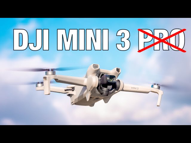 DJI MINI 3 - A Cheaper Mini 3 Pro…. $469!