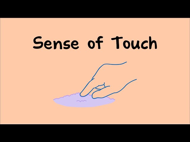 Sense of Touch