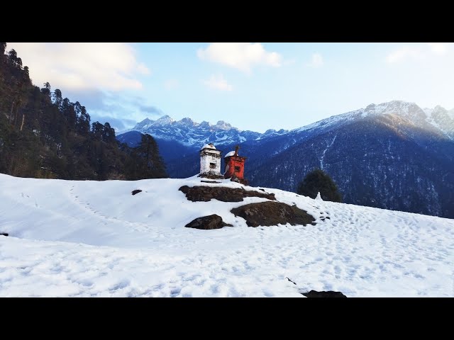 Sikkim trekking||Goecha la treks||Dzongri Treks||Bashan Travel vlogs.