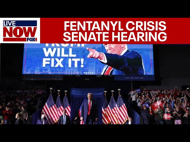 LIVE: Fentanyl Crisis Senate Hearing amid President Trump pressuring Mexico and China