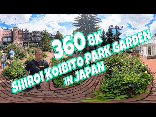 Virtual Walk Shiroi Koibito Park Rose Garden 360 Walk Hokkaido Japan June 17, 2024